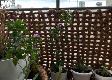 エクステリアアイテム