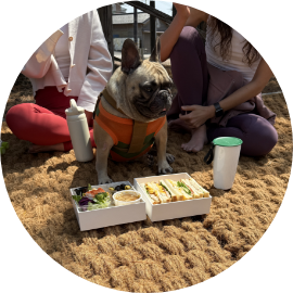 アウトドア屋外イベント